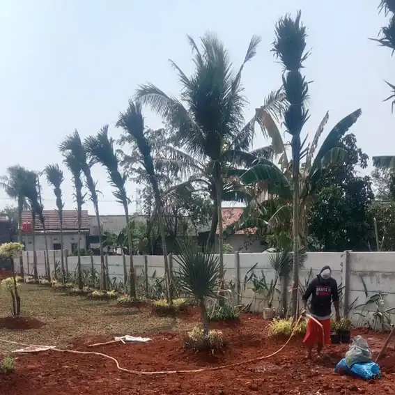 desain taman