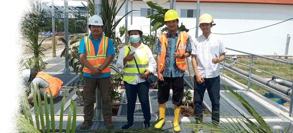 jual pohon pelindung